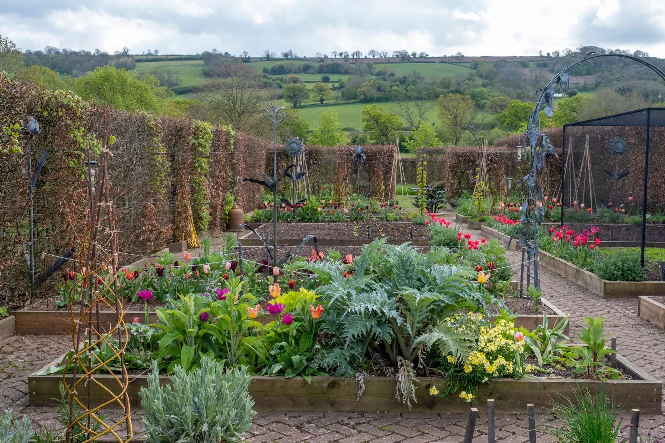 Edible kitchen garden design & Build